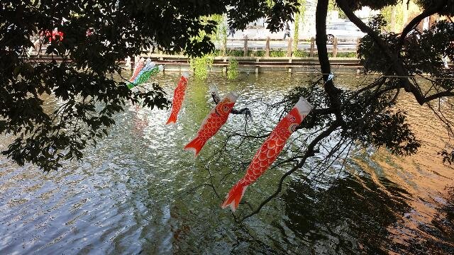 🏯 쓰치우라 성터(쓰치우라조아토) 이미지 12